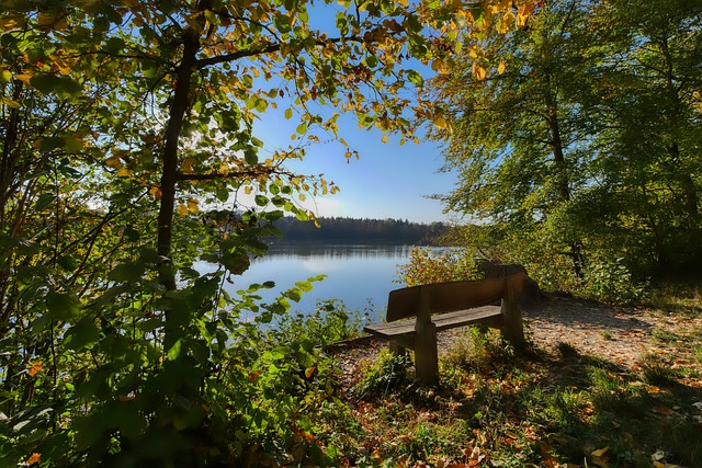 打独斗的竞 打独斗的竞