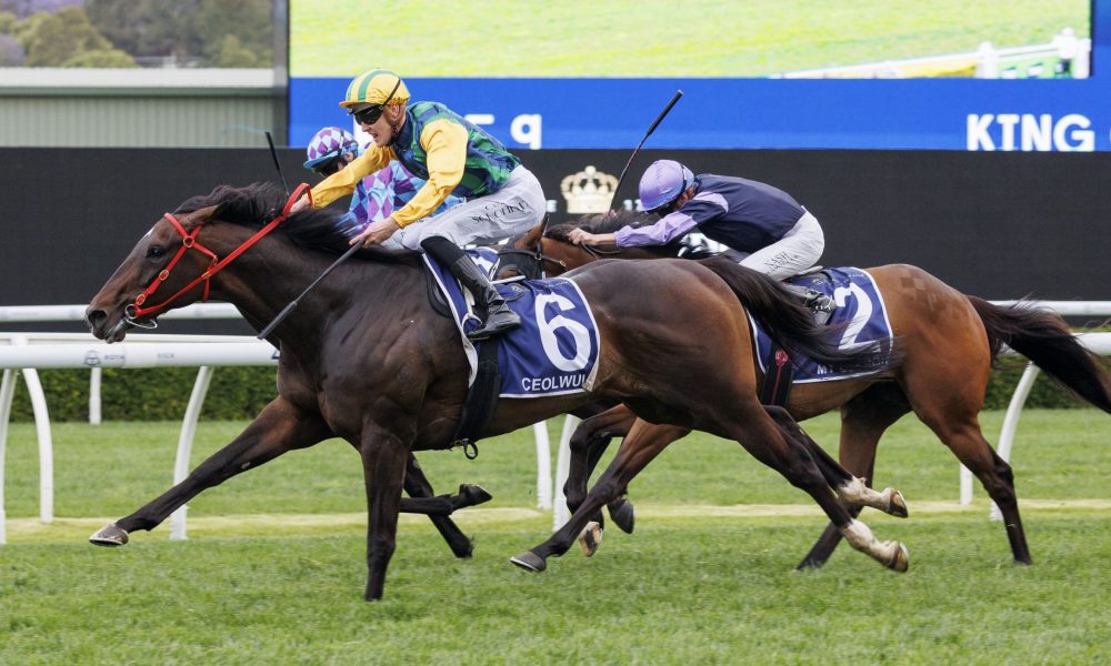 的不明朗却 的不明朗却